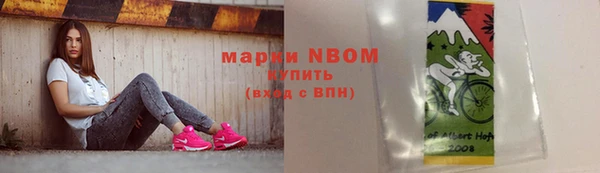 дмт Абаза