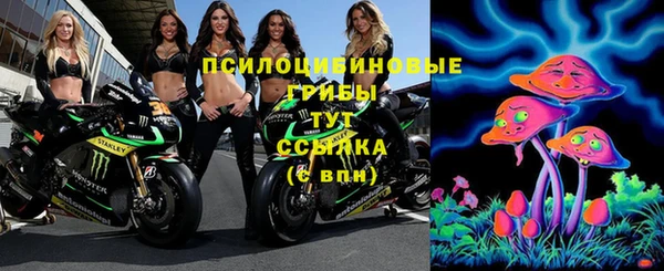 PSILOCYBIN Абинск
