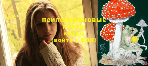 дмт Абаза