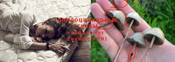 стафф Абдулино