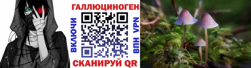 купить наркоту  Аткарск  Галлюциногенные грибы прущие грибы 